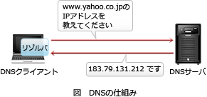 40.png/image-size:291×136