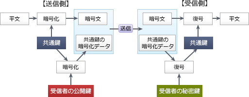 41.png/image-size:513×201